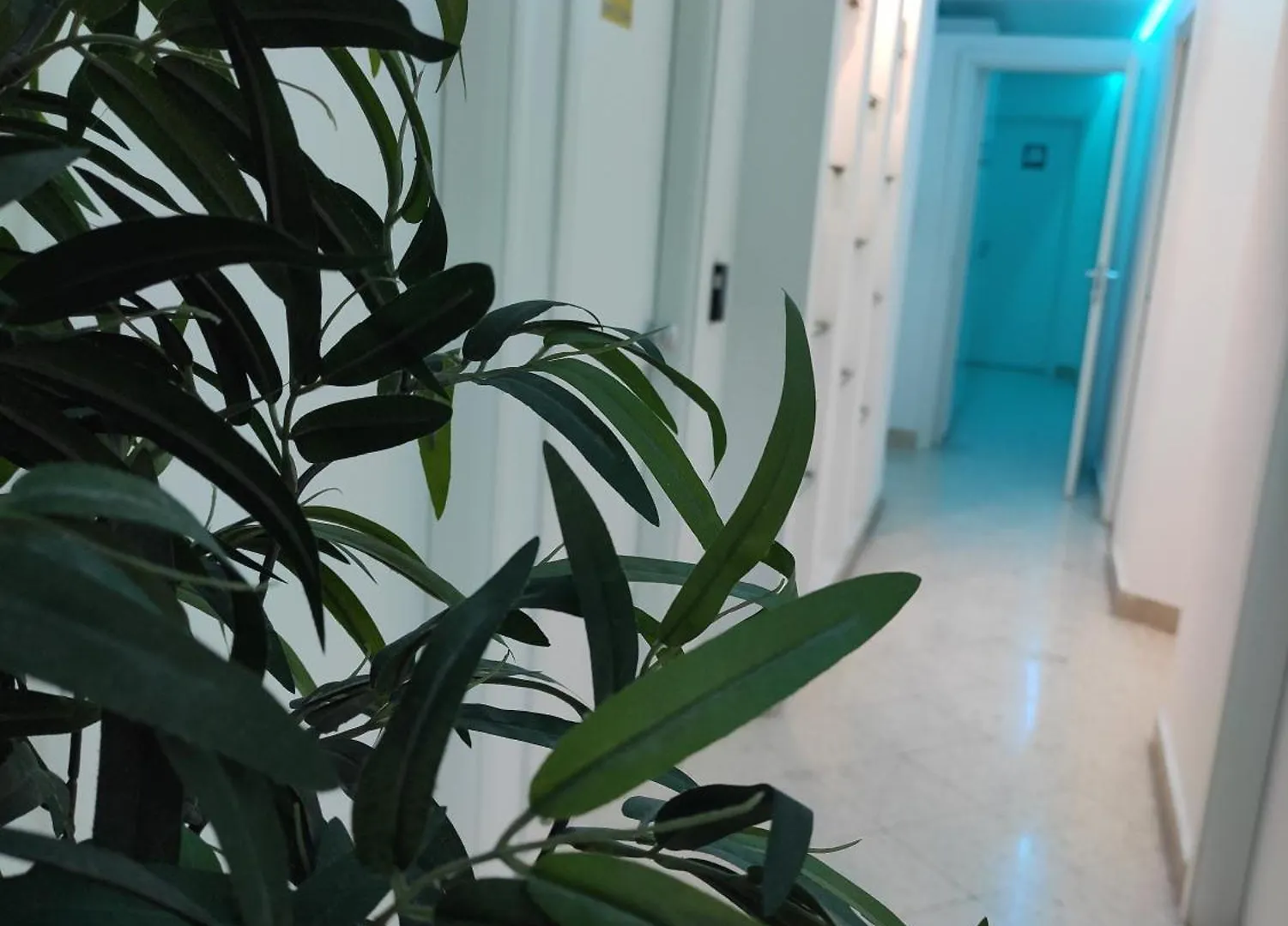 Palermo Central B&B 0*,  Italy